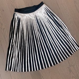 Silver Skirt